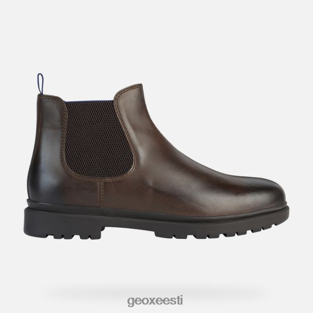 kohv/kuninglik ZZ2TH2703 Geox andalo mees