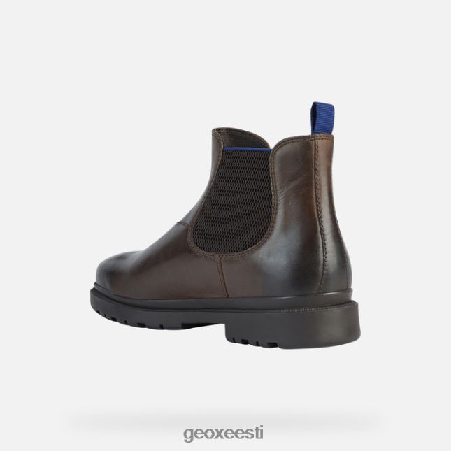 kohv/kuninglik ZZ2TH2703 Geox andalo mees
