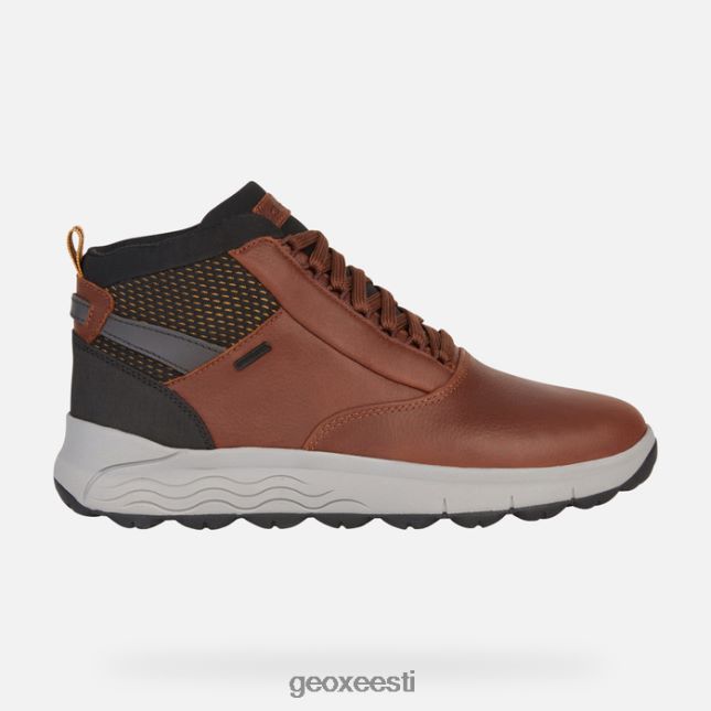 pruun ZZ2TH2790 Geox spherica 4x4 abx mees