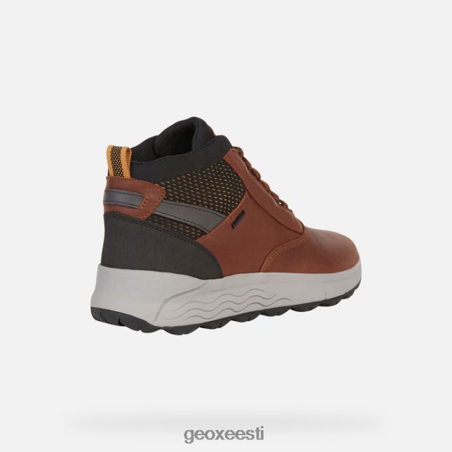 pruun ZZ2TH2790 Geox spherica 4x4 abx mees