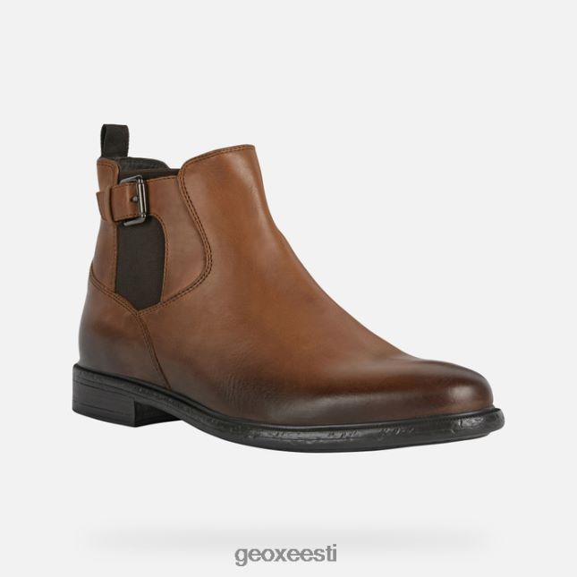 pruun ZZ2TH2915 Geox terence mees