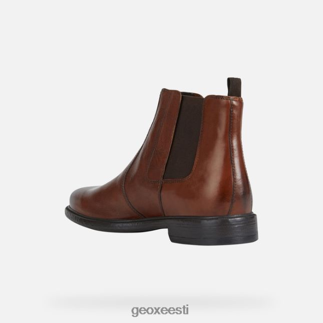 pruun cotto ZZ2TH2918 Geox terence mees