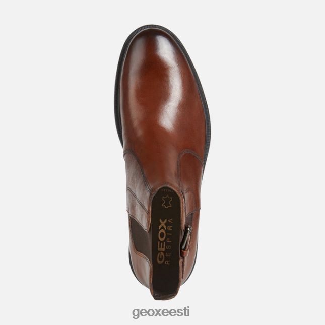 pruun cotto ZZ2TH2918 Geox terence mees