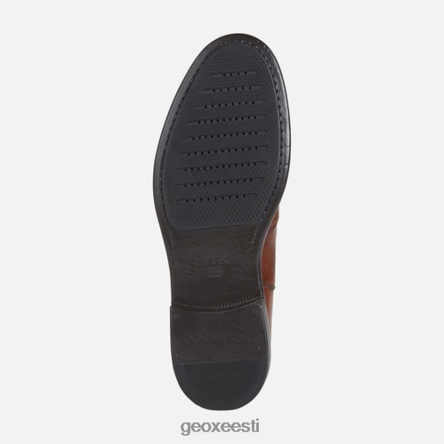 pruun cotto ZZ2TH2918 Geox terence mees