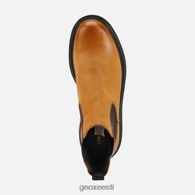 sinep ZZ2TH2660 Geox faloria mees
