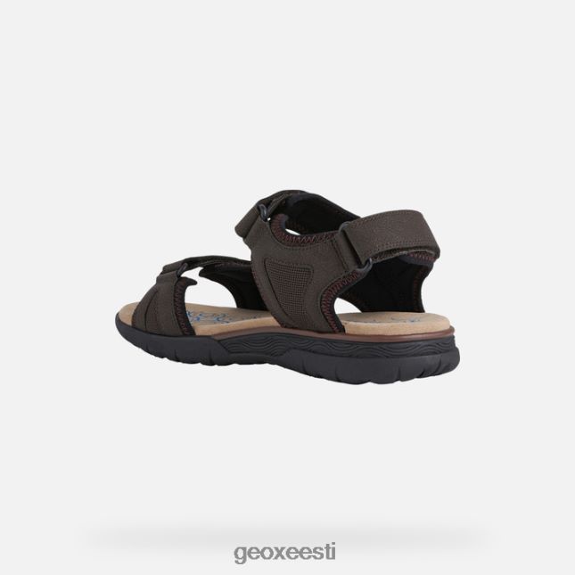 kohvi ZZ2TH2838 Geox spherica ec5 mees