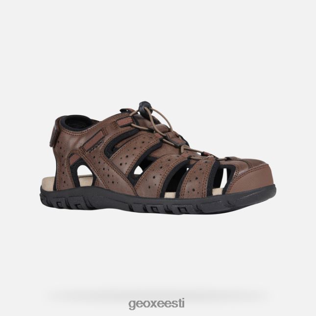 pruun ZZ2TH2767 Geox strada mees