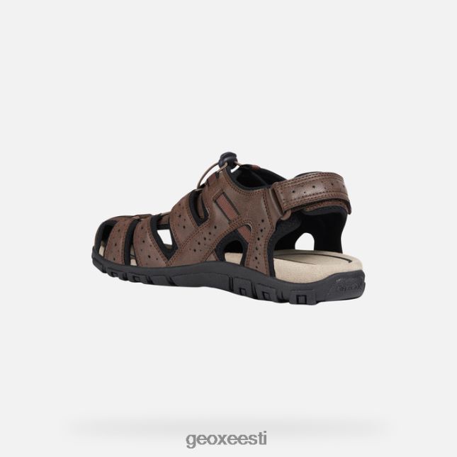 pruun ZZ2TH2767 Geox strada mees