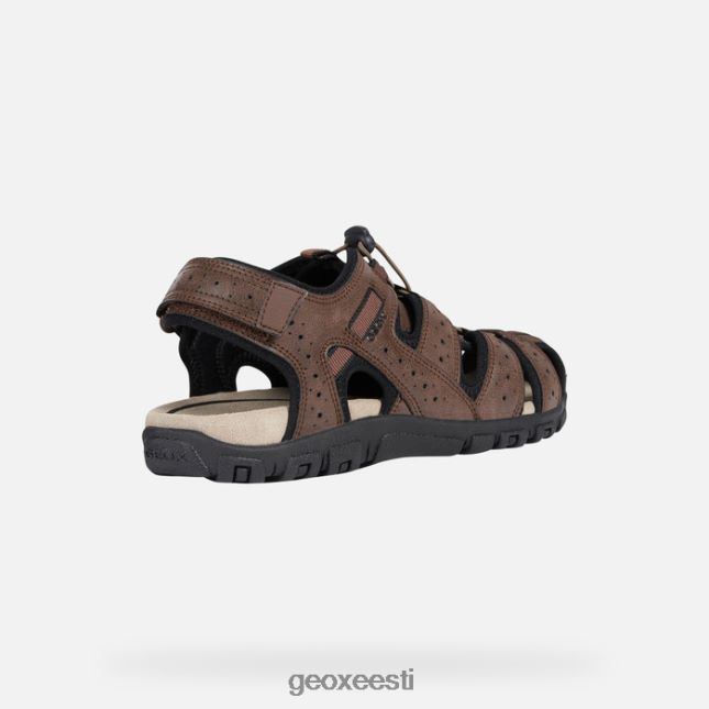pruun ZZ2TH2767 Geox strada mees