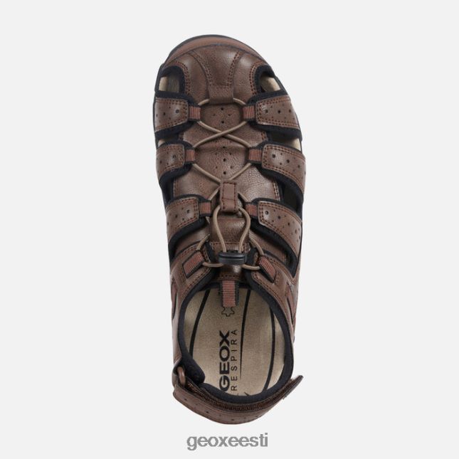 pruun ZZ2TH2767 Geox strada mees
