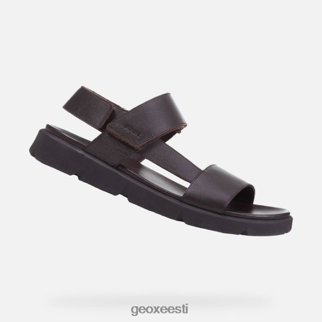 pruun cotto ZZ2TH21757 Geox xand 2s mees