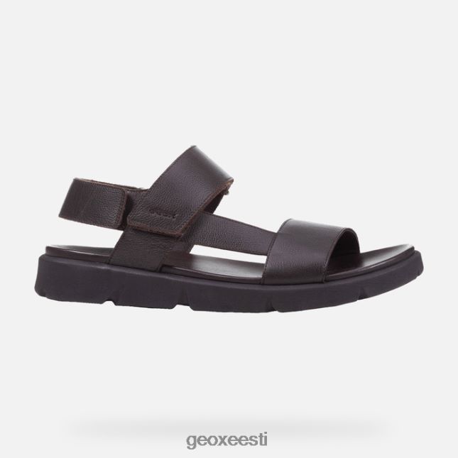 pruun cotto ZZ2TH21757 Geox xand 2s mees