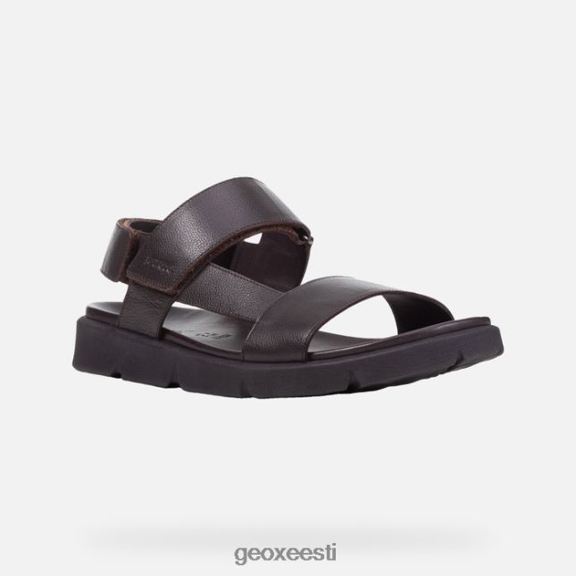pruun cotto ZZ2TH21757 Geox xand 2s mees
