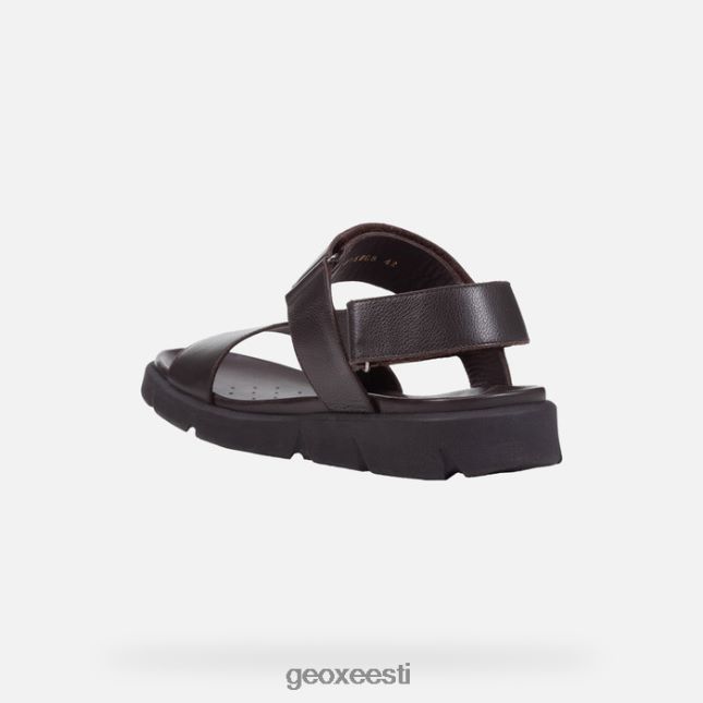 pruun cotto ZZ2TH21757 Geox xand 2s mees