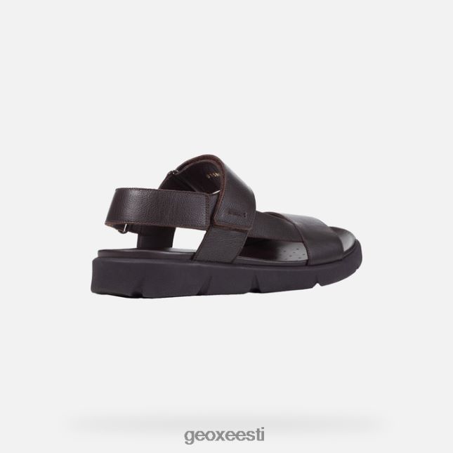 pruun cotto ZZ2TH21757 Geox xand 2s mees