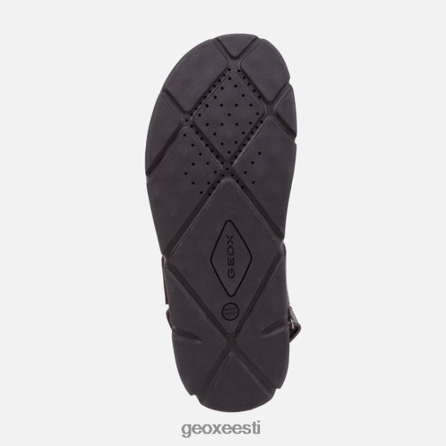 pruun cotto ZZ2TH21757 Geox xand 2s mees