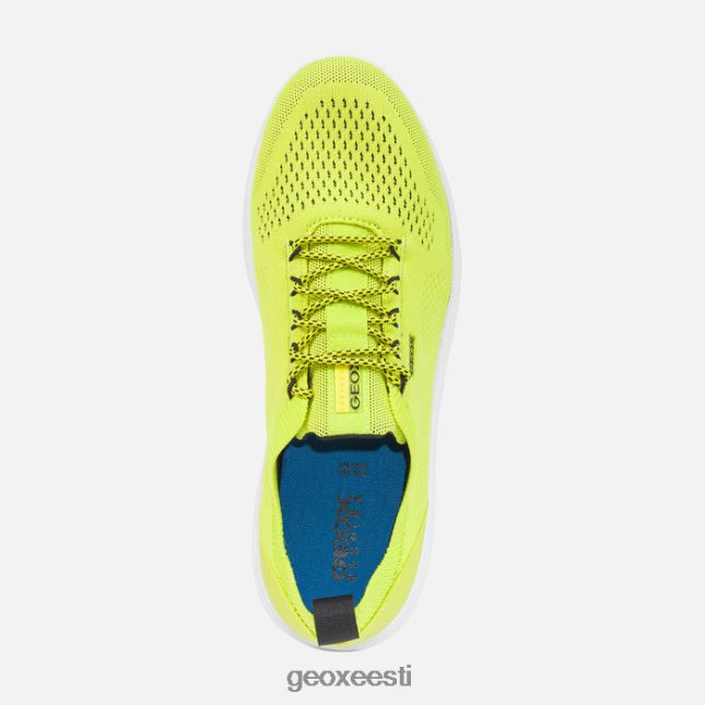 fluo roheline/must ZZ2TH21802 Geox sfääriline mees