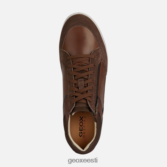 hele pruun ZZ2TH21788 Geox Renan mees