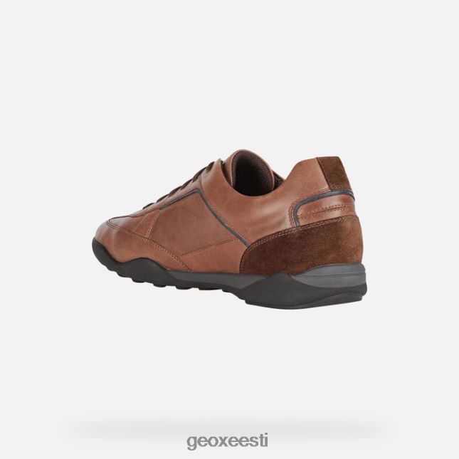 hele pruun ZZ2TH2854 Geox meetod mees