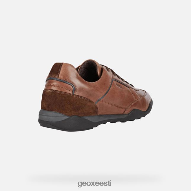 hele pruun ZZ2TH2854 Geox meetod mees