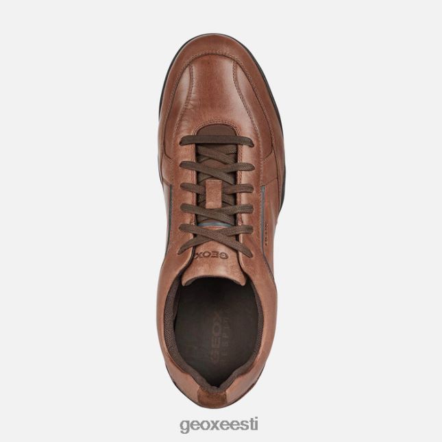 hele pruun ZZ2TH2854 Geox meetod mees
