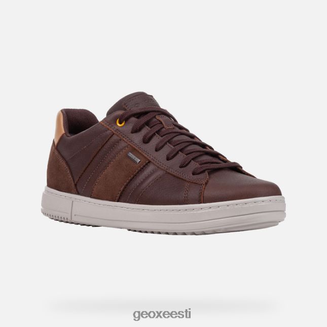 kohv/pähkel ZZ2TH2809 Geox levico abx mees