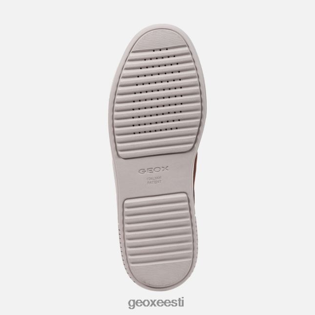 kohv/pähkel ZZ2TH2809 Geox levico abx mees