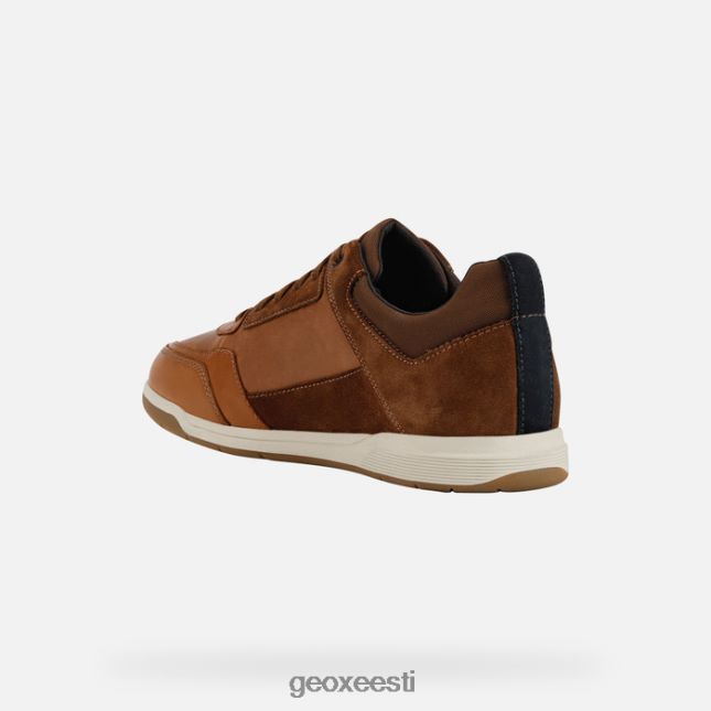 konjak/helepruun ZZ2TH2934 Geox spherica ec3 mees