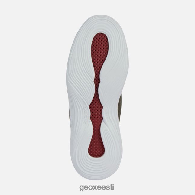 muskus ZZ2TH2666 Geox fluctis mees