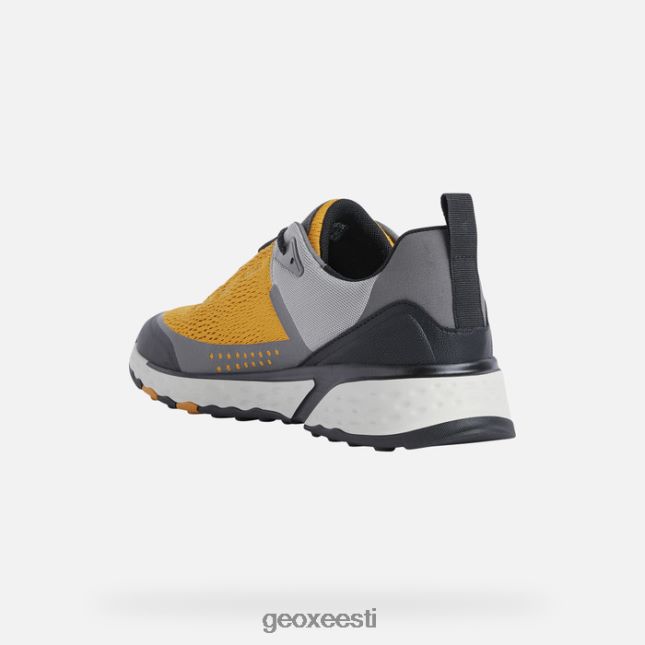 ooker/lt hall ZZ2TH2899 Geox sterrato mees