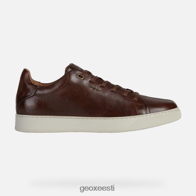 pruun ZZ2TH2960 Geox korilane mees