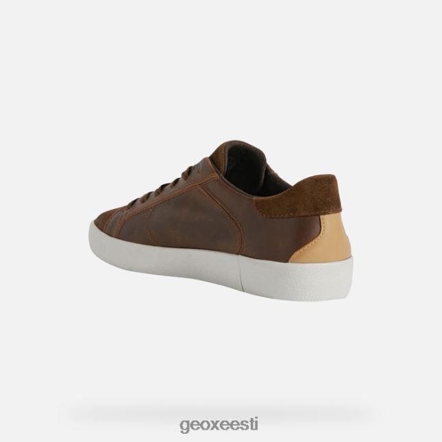 pruun / brownncotto ZZ2TH2965 Geox warley mees