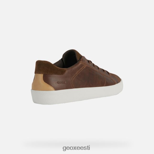 pruun / brownncotto ZZ2TH2965 Geox warley mees