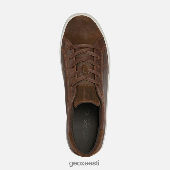 pruun / brownncotto ZZ2TH2965 Geox warley mees