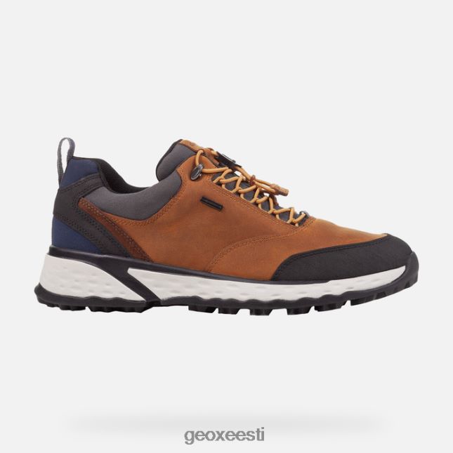 sinep ZZ2TH2864 Geox sterrato abx mees