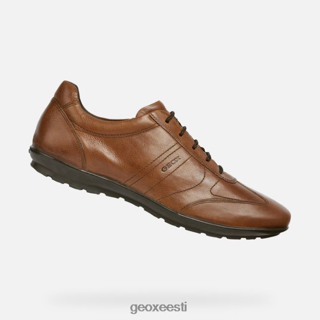 pruun cotto ZZ2TH21807 Geox sümbol mees