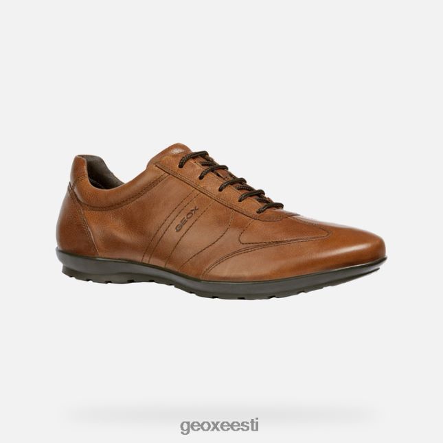 pruun cotto ZZ2TH21807 Geox sümbol mees