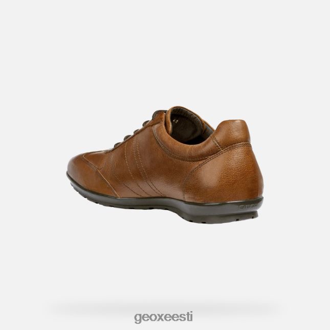 pruun cotto ZZ2TH21807 Geox sümbol mees