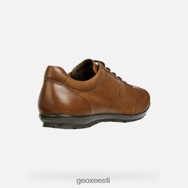 pruun cotto ZZ2TH21807 Geox sümbol mees
