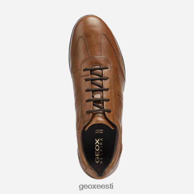 pruun cotto ZZ2TH21807 Geox sümbol mees