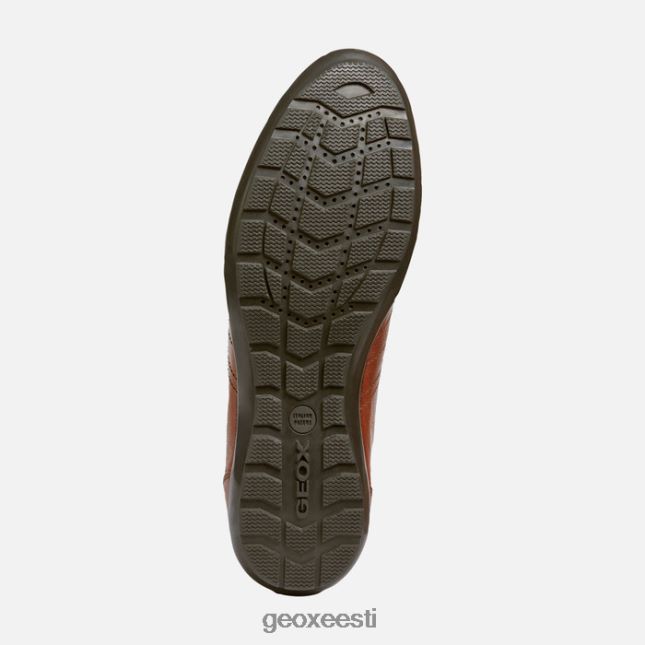 pruun cotto ZZ2TH21807 Geox sümbol mees