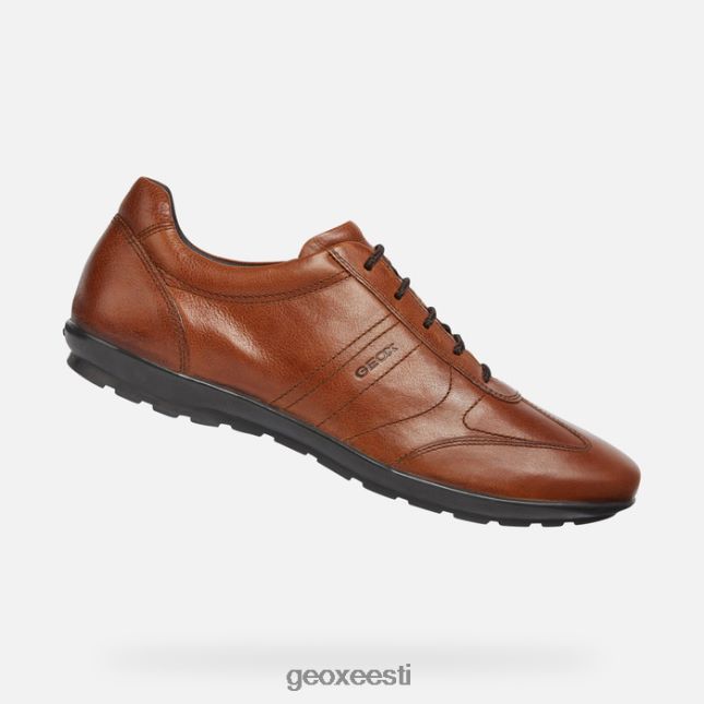 pruun cotto ZZ2TH21851 Geox sümbol mees