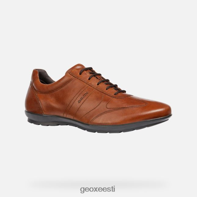 pruun cotto ZZ2TH21851 Geox sümbol mees