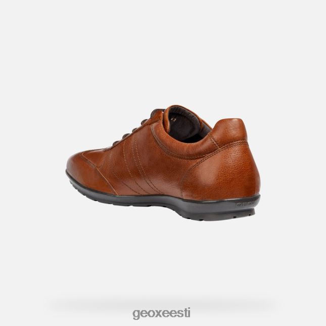 pruun cotto ZZ2TH21851 Geox sümbol mees