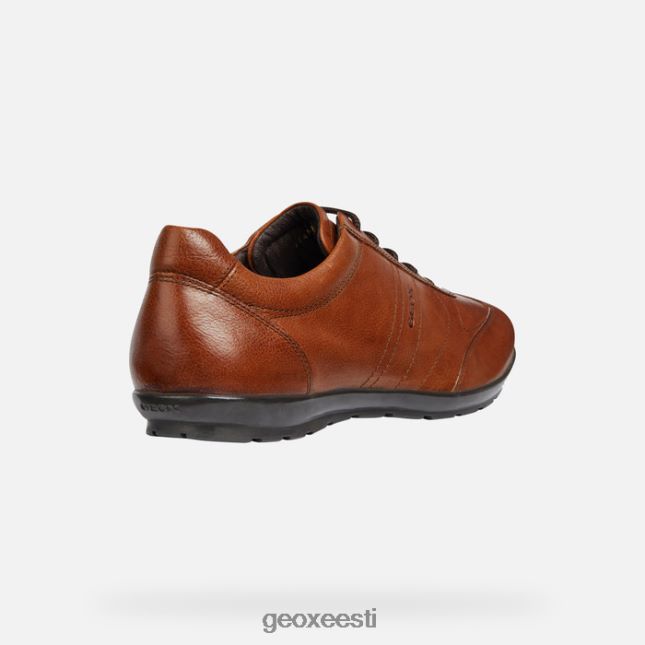 pruun cotto ZZ2TH21851 Geox sümbol mees
