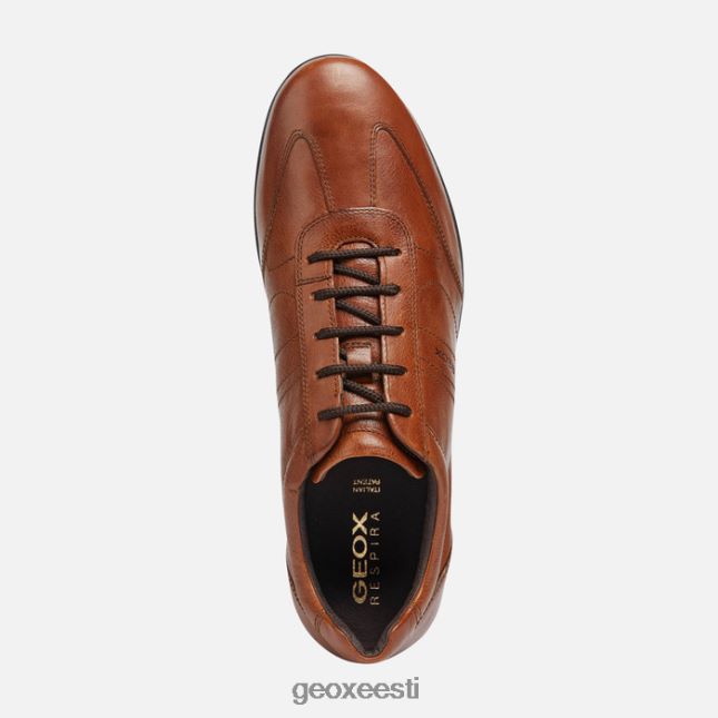 pruun cotto ZZ2TH21851 Geox sümbol mees