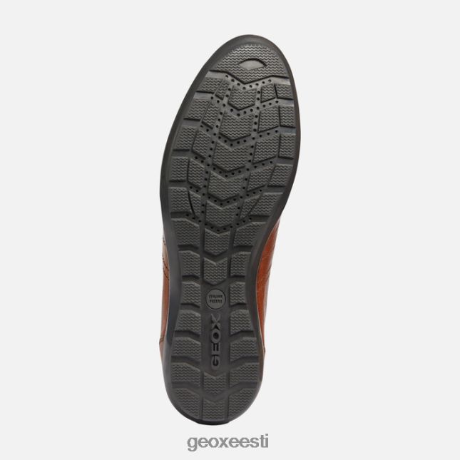 pruun cotto ZZ2TH21851 Geox sümbol mees