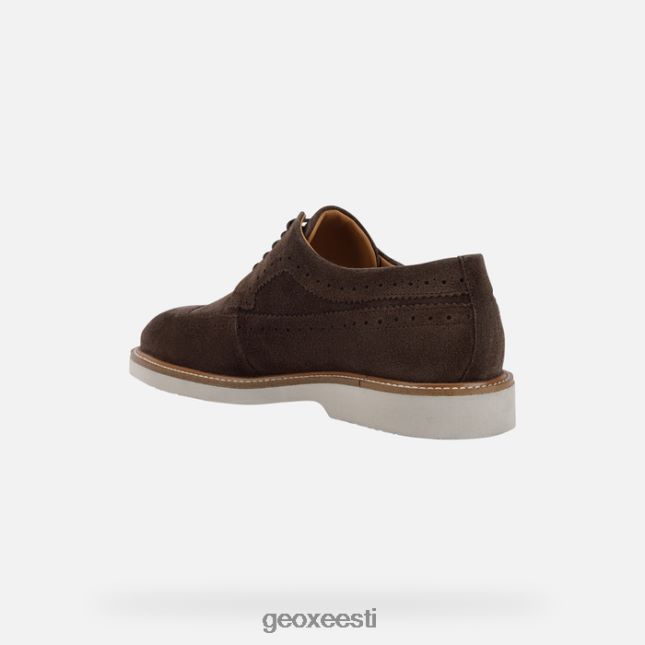 tumepruun ZZ2TH2929 Geox gubbio mees