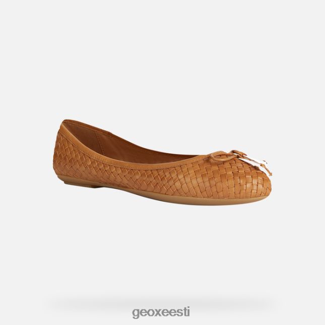 pruun ZZ2TH2197 Geox palmaria naine