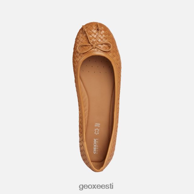 pruun ZZ2TH2197 Geox palmaria naine
